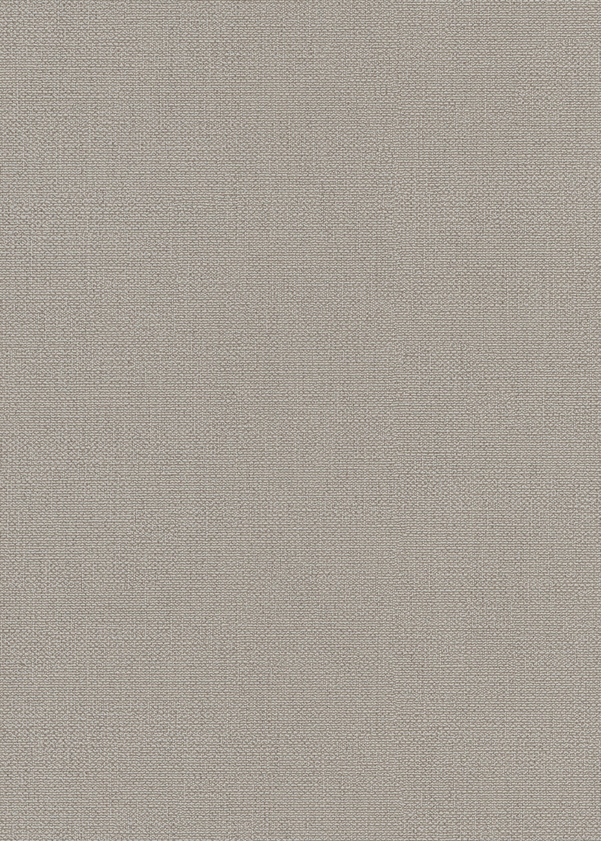 Erismann Vliestapete Opus beige 1046302