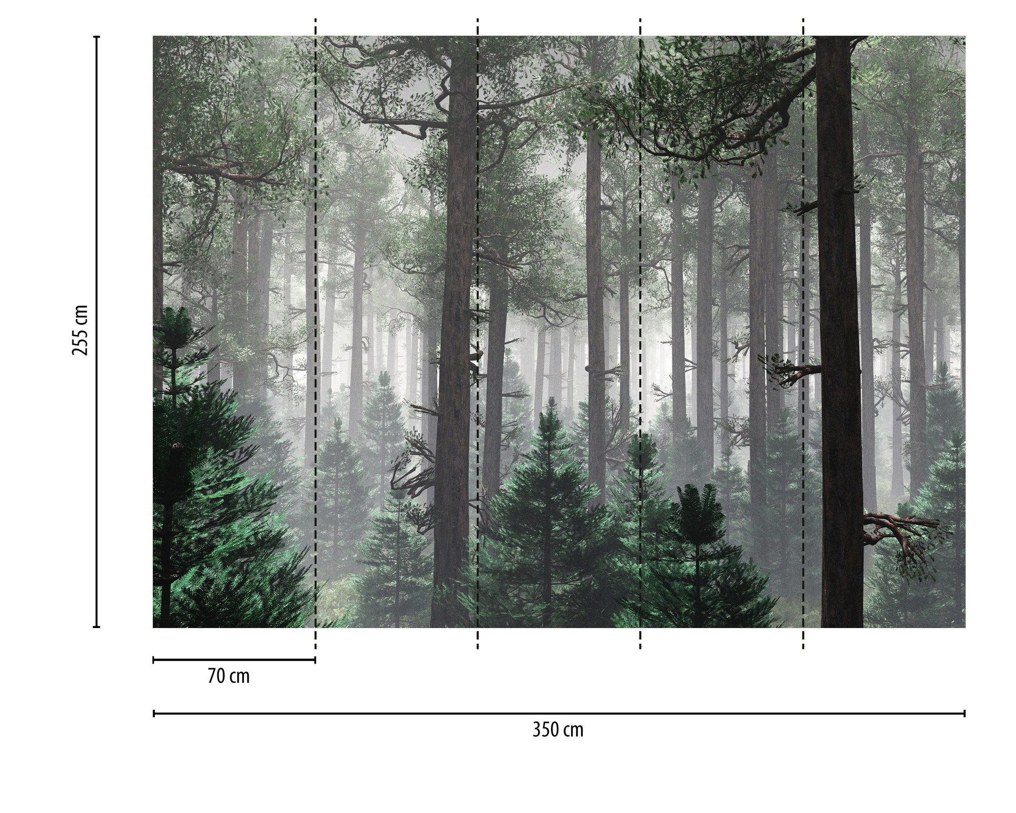 AS Fototapete Designwalls 2 Wald Bäume DD123520