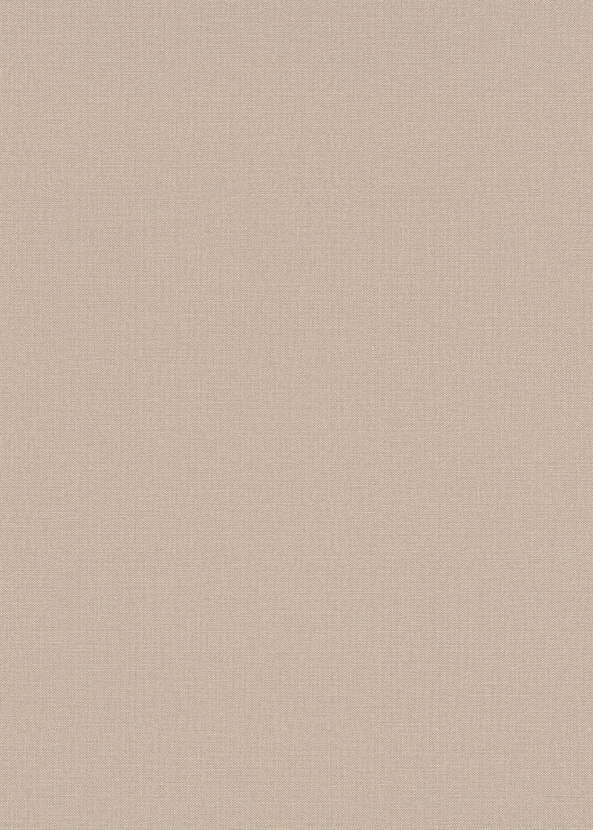 Erismann Vliestapete Elle 4 beige 1044402